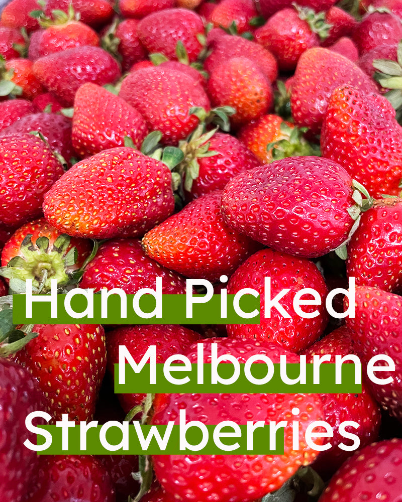 Strawberries - Sliced - Freeze Dried