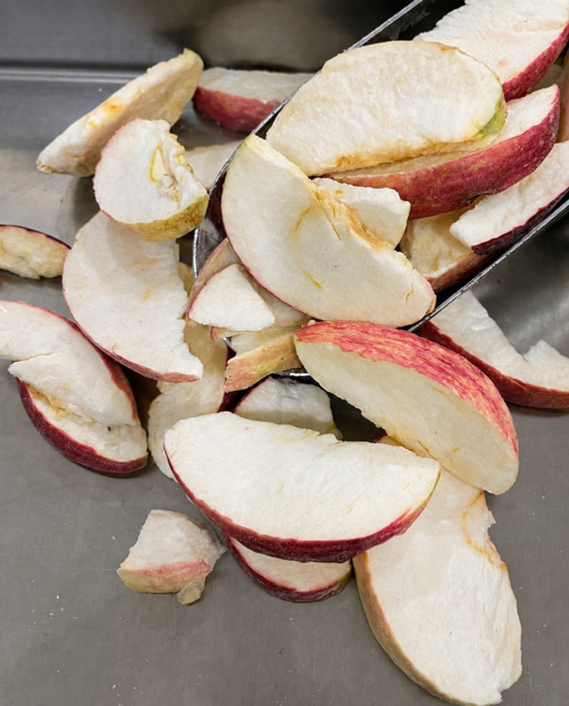 Apple Slices - Freeze Dried - Forever Foods