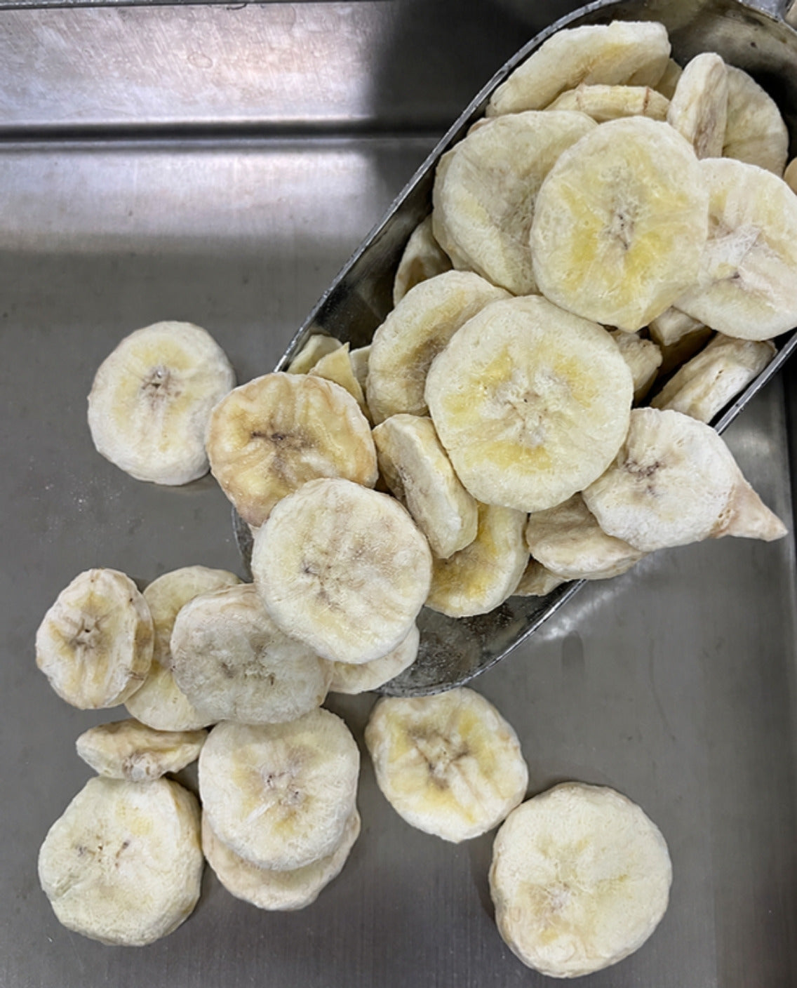 Banana Slices - Freeze Dried - Forever Foods
