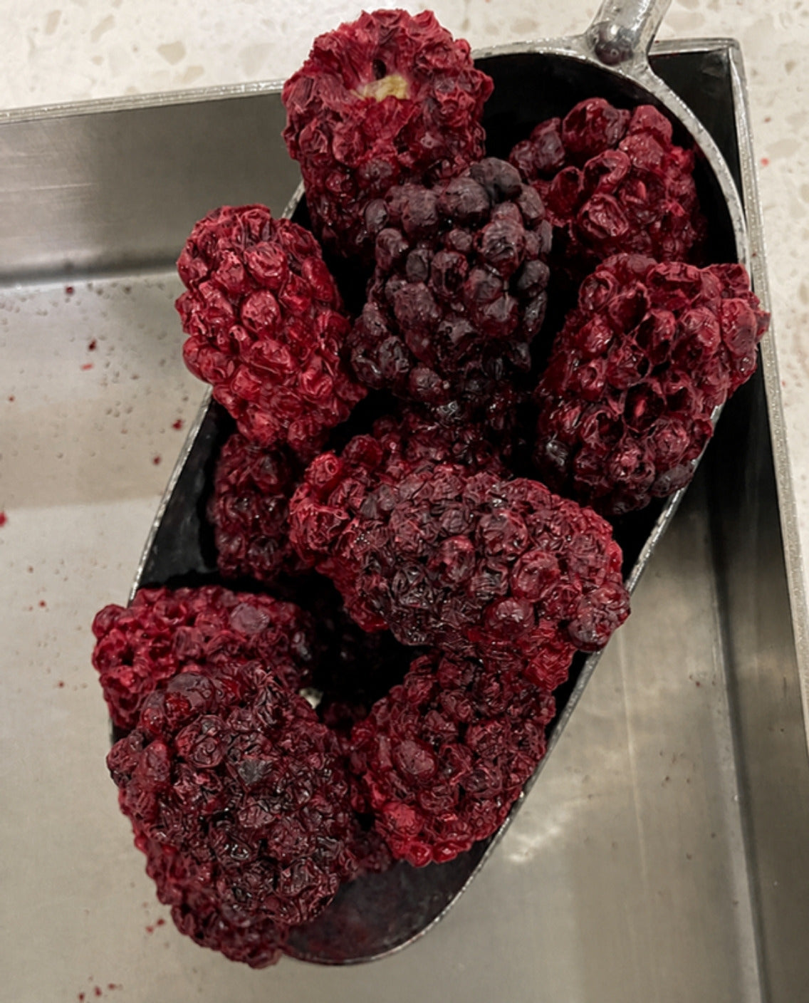 Blackberry Whole - Freeze Dried - Forever Foods