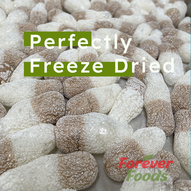 Freeze Dried Cola Bottles - 500 gms