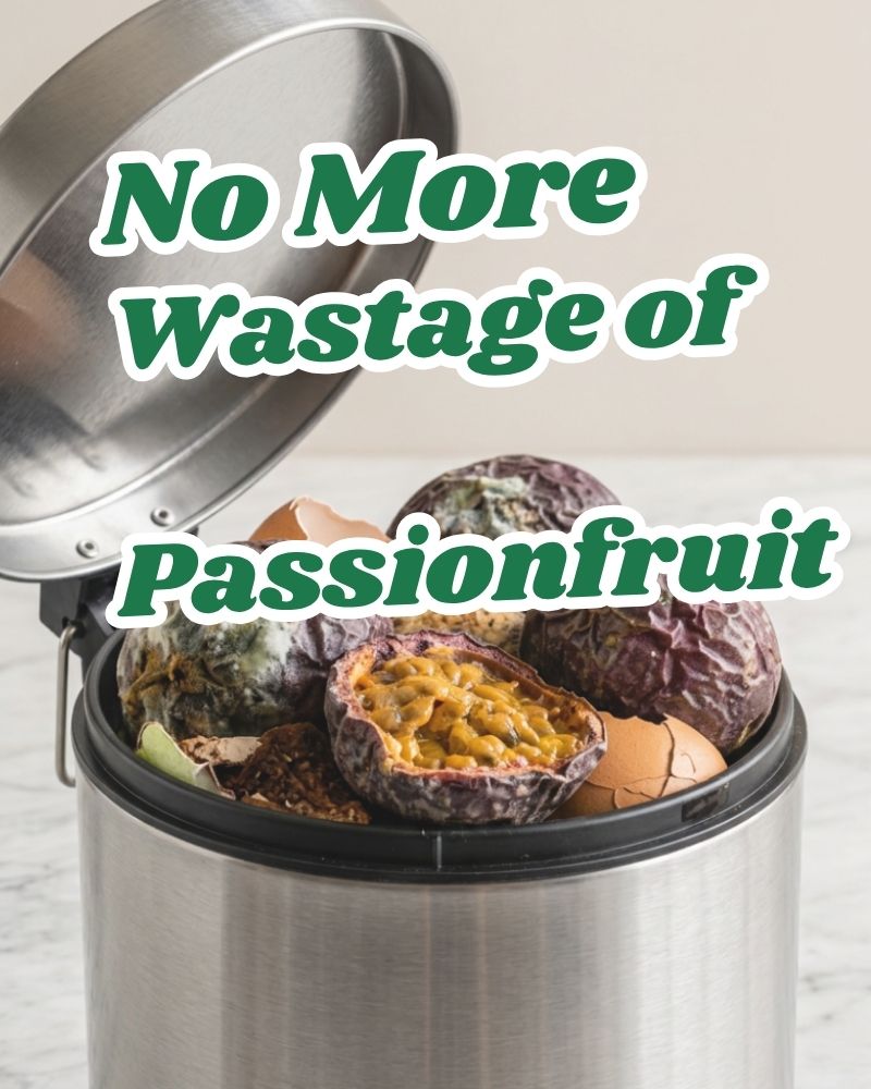 Passionfruit Powder - Freeze Dried