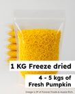 Shredded Pumpkin Freeze Dried