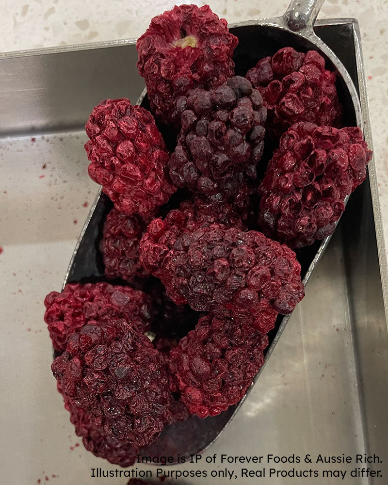 Freeze dried Blackberries in a steel scoop inside a stainless steel tray, with a small disclaimer text overlay at the bottom.