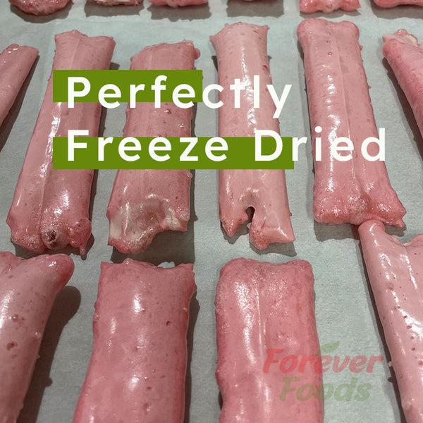 Freeze Dried Wicked Fizzers - Berry