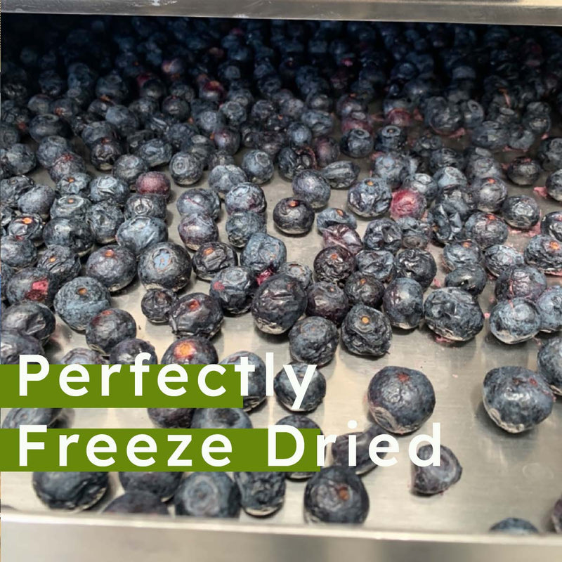 Freeze Dried Blueberries - Powder