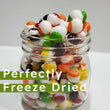 Freeze Dried Skittles - 150 gms